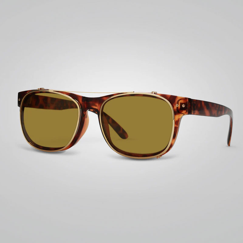 Eagle Eyes Starr Tortoise Sunglasses